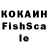 Галлюциногенные грибы Psilocybine cubensis _Free_Fire_KG_
