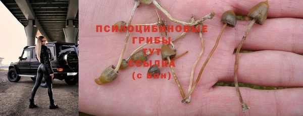 круглые Вязники