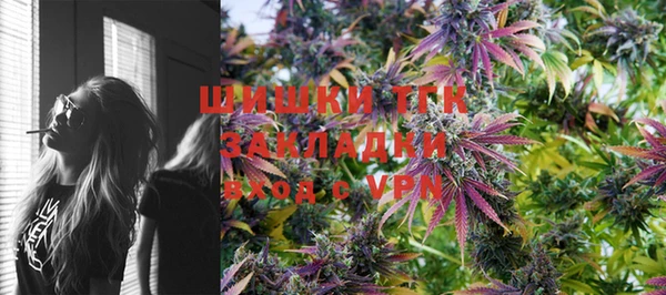 МДПВ Горно-Алтайск