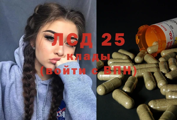 прущая мука Вяземский