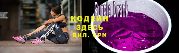 прущая мука Вяземский