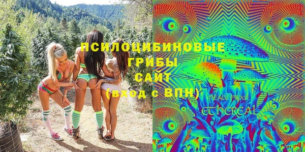 МДПВ Горно-Алтайск