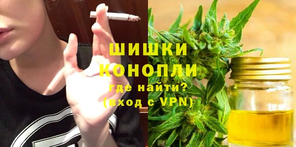 прущая мука Вяземский