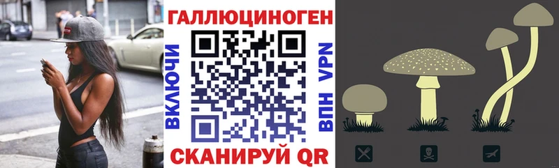 Псилоцибиновые грибы Psilocybine cubensis  мориарти Telegram  Заволжье 